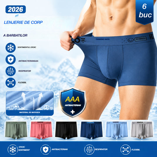 🔥【Cumpără 3, primești 3 gratis】🧊49% REDUCERE Ultima zi---2026 Chiloți boxer antibacterieni pentru bărbați, model U, din plasă, modal, mărime mare