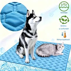 🧊🐶 Covoraș răcoritor pentru câini și pisici – ușurarea de care au nevoie animalele tale de companie vara aceasta 🐱✨