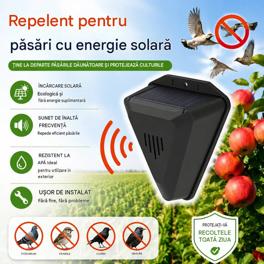 Un dispozitiv de descurajare a păsărilor cu temporizator va menține gazonul și curtea curate și fără excremente de păsări.