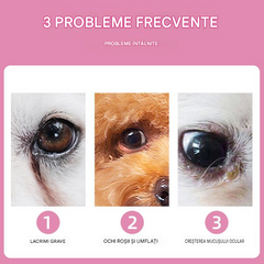 ✨🐕【Model nou, modernizat pentru o curățare mai bună】🐈Șervețele de curățare pentru petele de pe ochii animalelor de companie 🔥Îndepărtează petele de lacrimi🔥